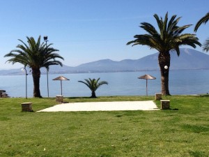 10150749_780262508669194_362161723_n