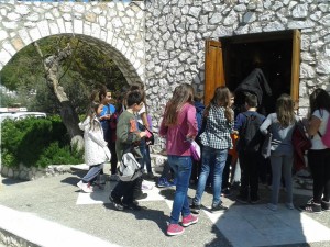 1510625_514191275358431_1322668658_n