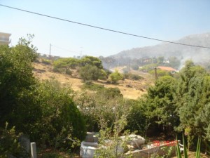 13782251_10209038851381039_2024133606608266975_n