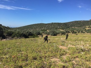 36394081_2043103572385075_3811154335505580032_n