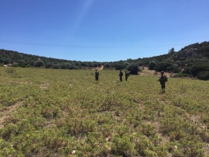 36426776_2043103559051743_237043084767002624_n