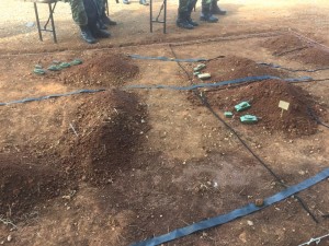 41469745_2156309341064497_3703089453644906496_n