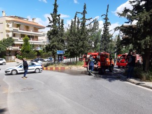 59859389_286222132256693_3277937470011867136_n