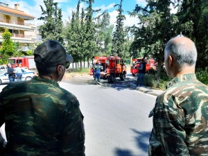 59918285_1916014601837097_8720516050363351040_n