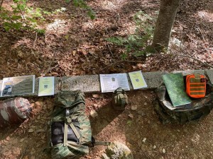 289994241_407099421457113_3277320989497018392_n