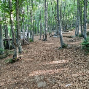 290617072_430208869116478_6640661688412410246_n