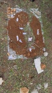 εκπαίδευση 2025 3